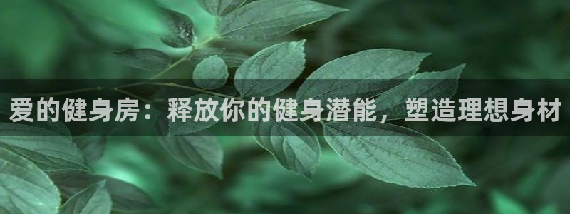龙8国际官网 点此进入游戏