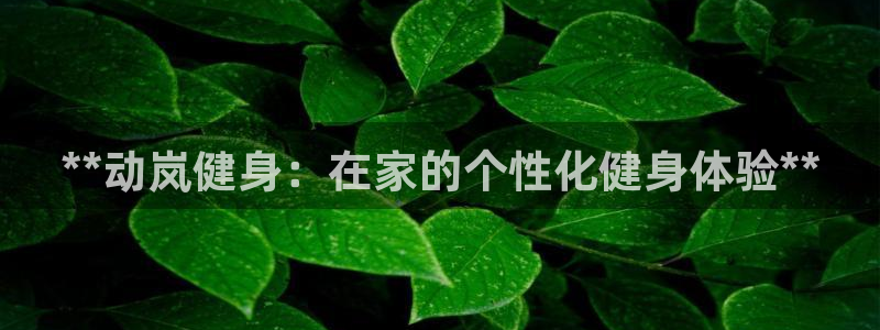龙8国际老虎机娱乐