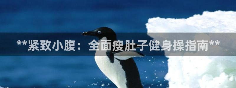 龙8电子游艺网址多少
