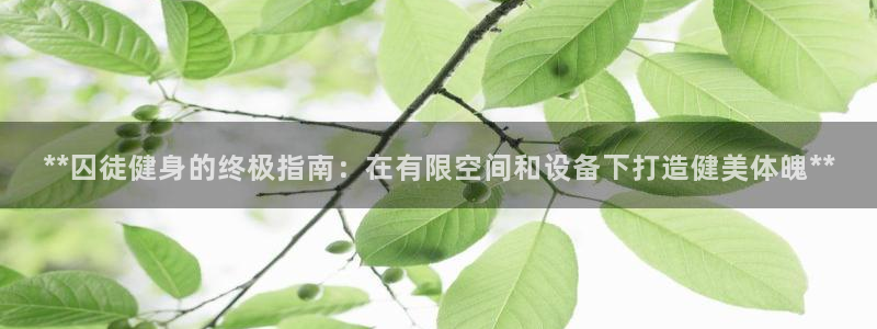龙8国际平台输了多少