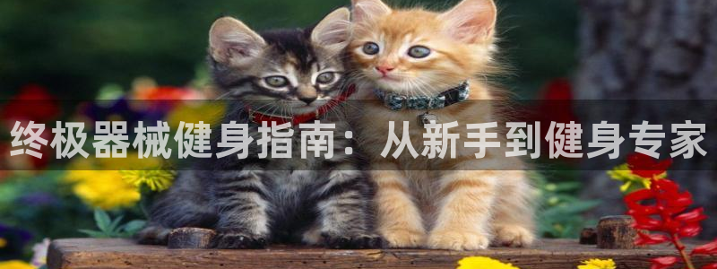 龙八国际城