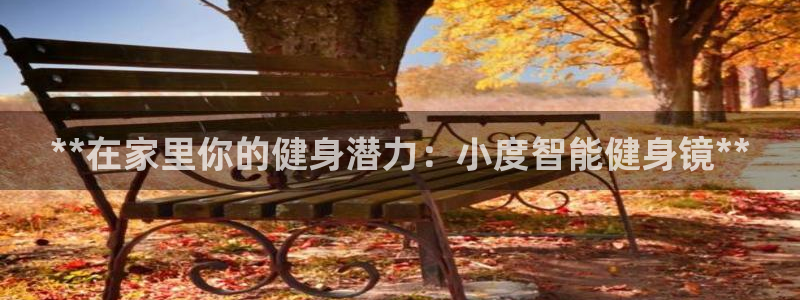 龙8国际pt