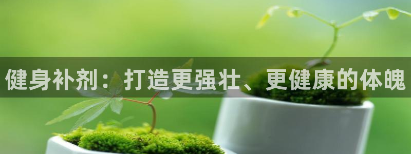 龙8国际手机版下载