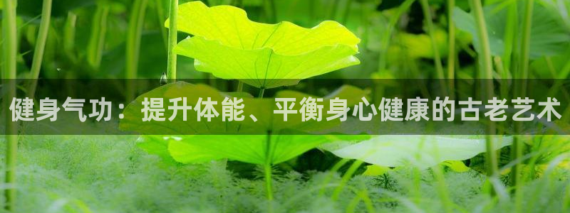 龙8国际备用