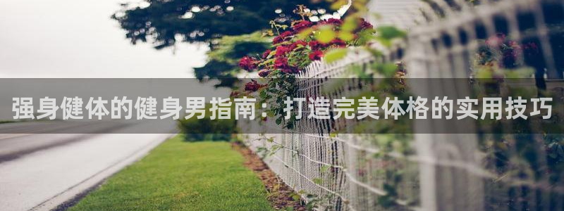 龙八国际pt