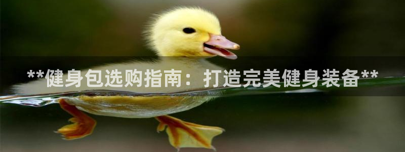 龙8游戏网站