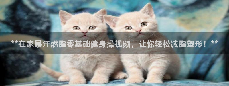 龙8国际备用