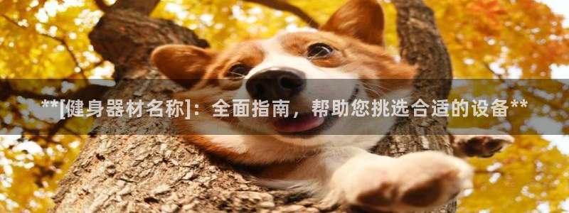 龙8手机游戏官网