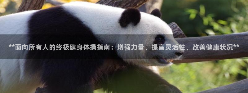 龙八国际娱乐网页多少