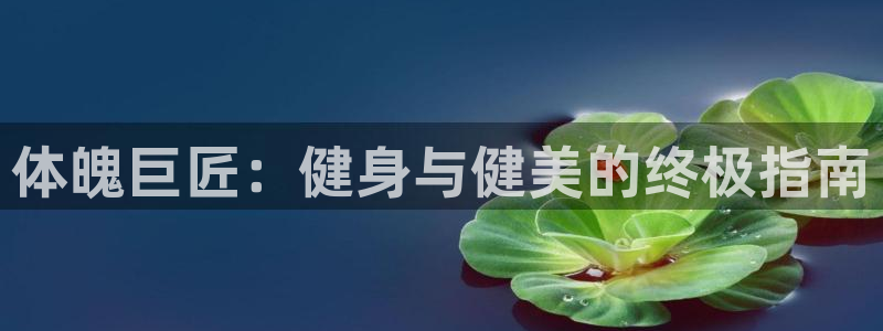 龙8国际游资如何