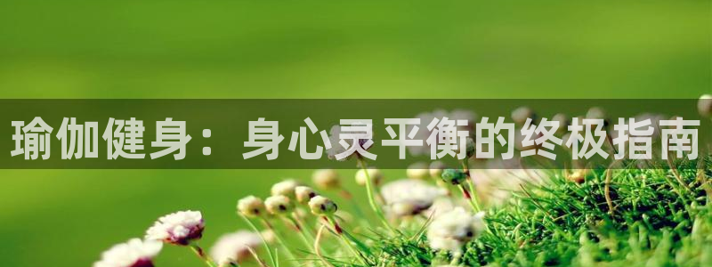 龙八国际app客户端下载不了