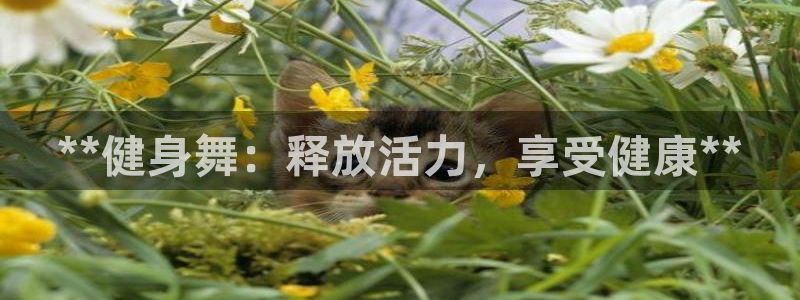 龙8娱乐国际城