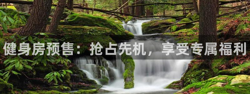 龙8老虎机网络游戏