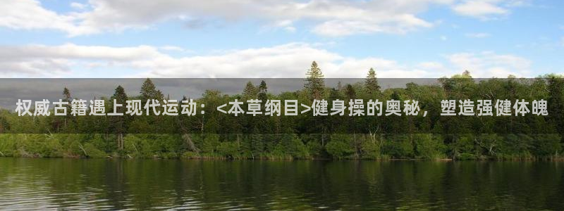 龙 八国际