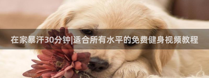 龙8国际龙8官方网站