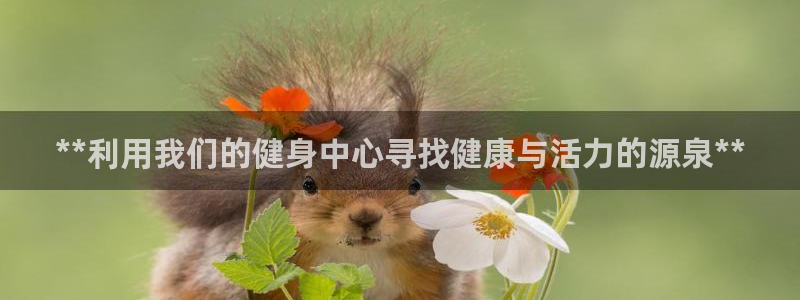 龙8官网正版