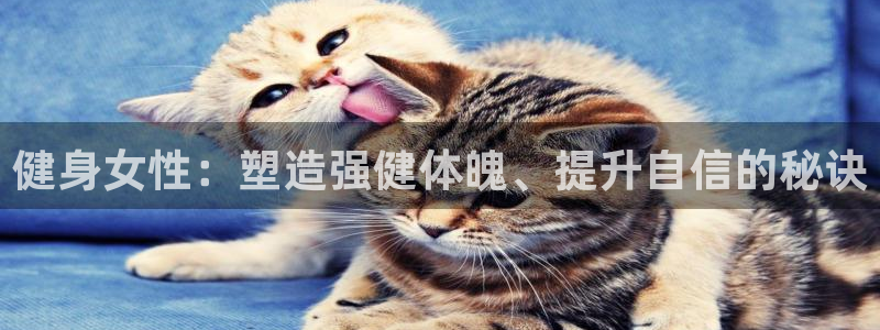 开户送88元体验金网站