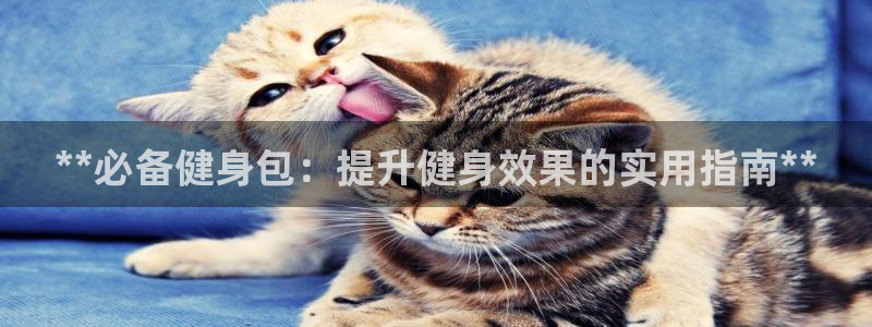 龙8国际手机版官网