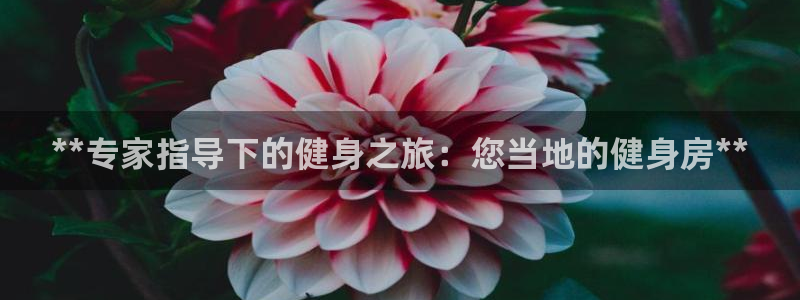 龙8国际-登录