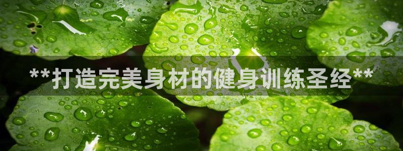 龙8国际游戏娱乐