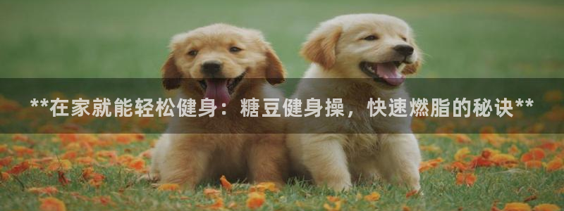 龙八国际娱乐网页多少
