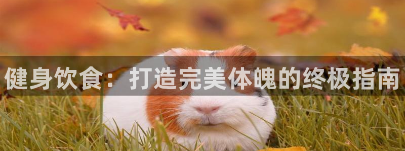 龙8国际提现被黑