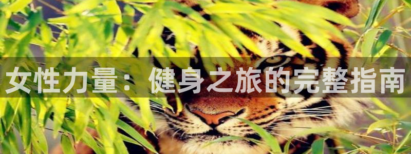 龙8国际免费试玩