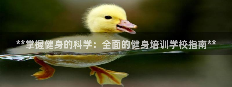 龙8国际提现被黑