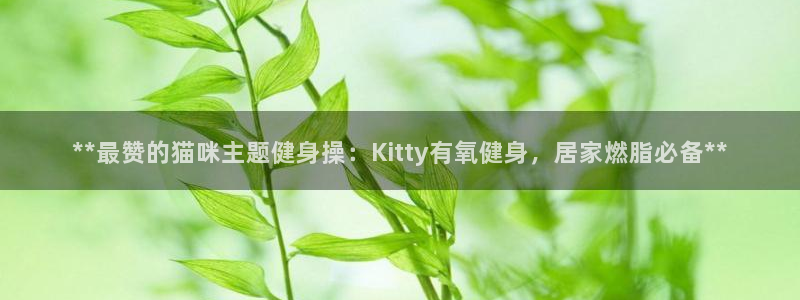 龙八国际服官网入口
