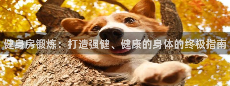 龙八棋牌