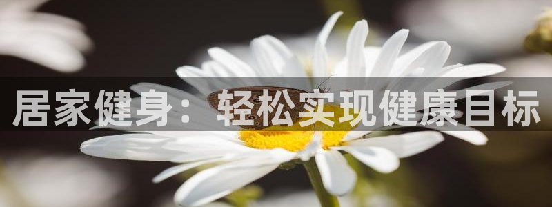 龙8国际pt官网