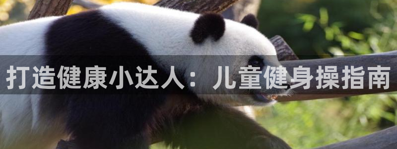 龙8国际手机版官网下载
