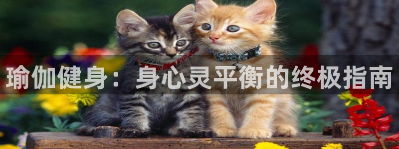 龙8国际官网手机客户端