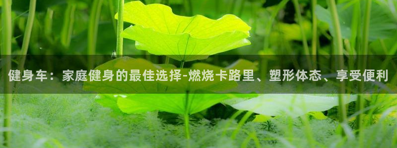 龙8国际登录地址
