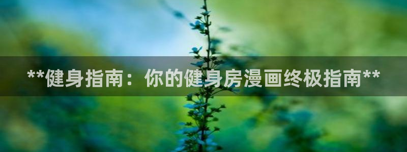 龙8国际免费试玩