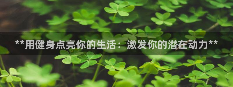 龙8国际手机版注册