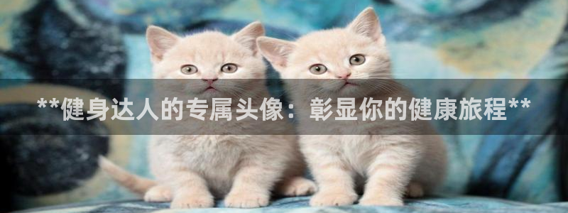 龙8国际官网版