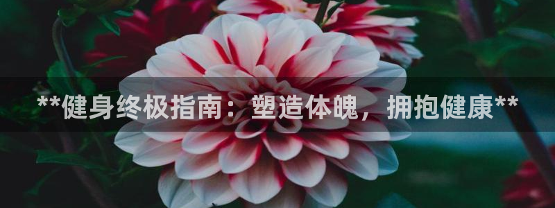 龙8游戏官方进入
