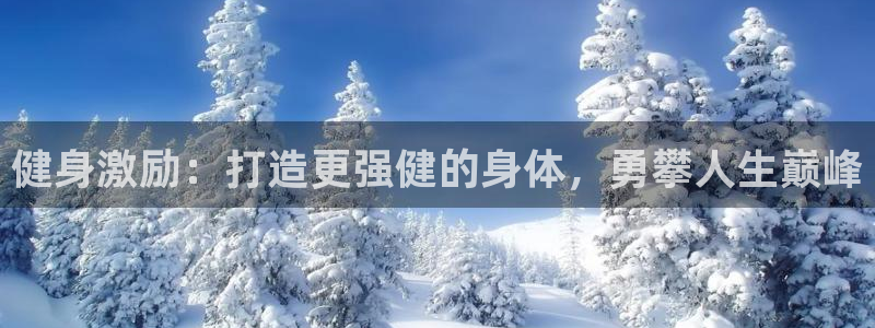 龙8国际备用