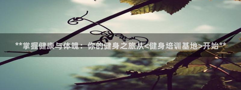龙8国际官网唯一入口