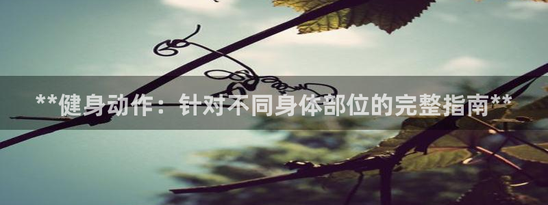 龙8国际网址
