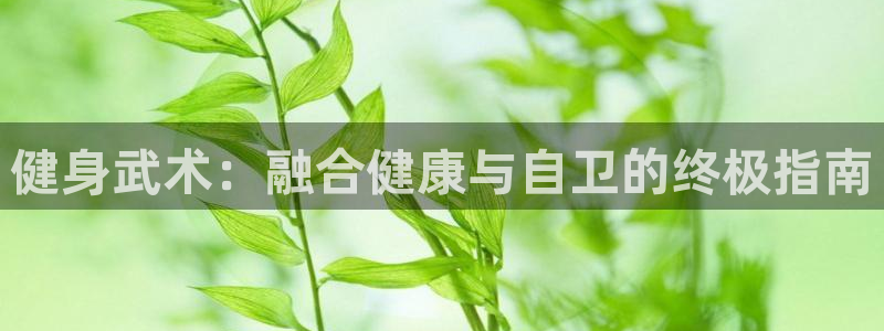龙8国际pt