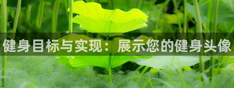 龙八国际app客户下载