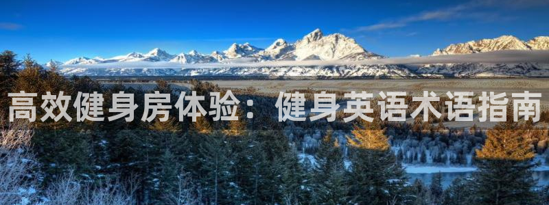 龙8国际版