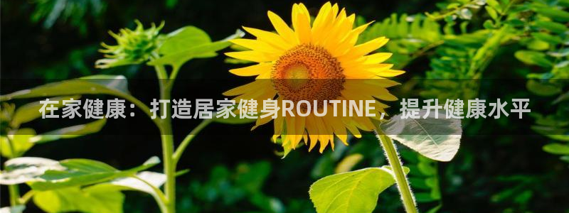 龙8头号玩家游戏官方进入