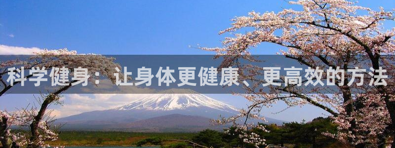 龙八国际官网下载