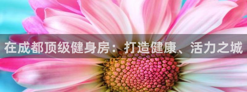 龙8国际手机版下载
