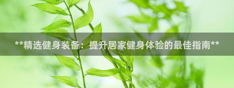 龙8国际官方网