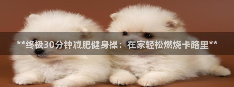 龙8唯一官网