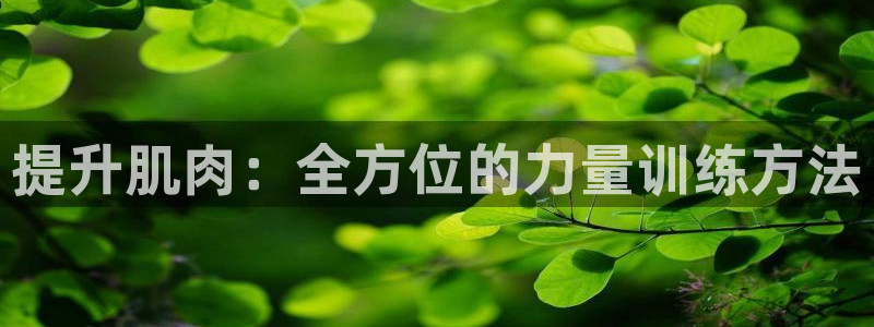 龙8国际是不是黑网